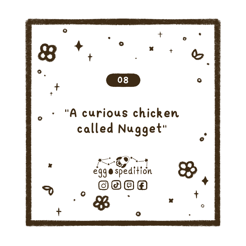 Chapter 8 - "A curious chicken called Nugget"