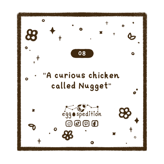 Chapter 8 - "A curious chicken called Nugget"