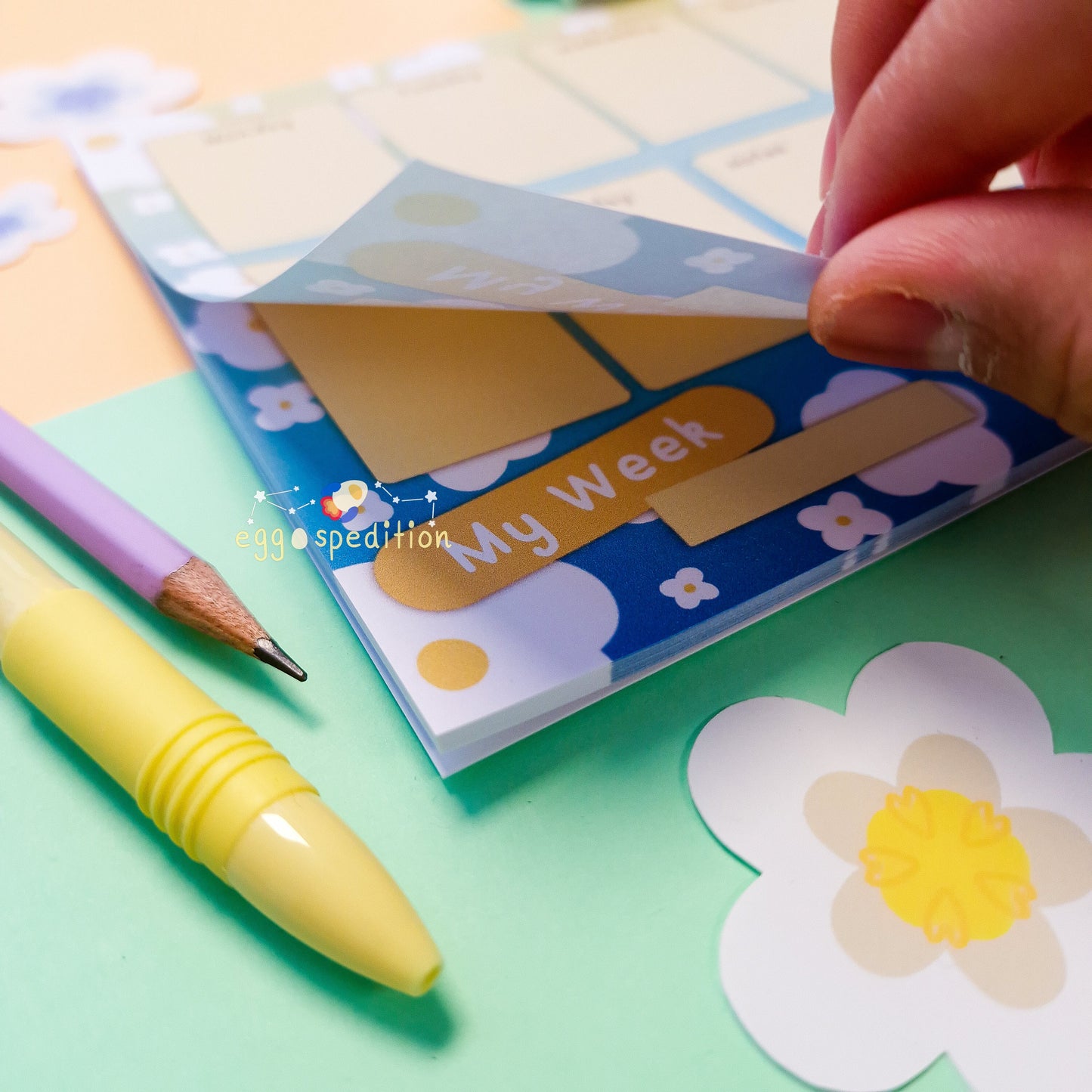 Daisy Explosion Gradient Week Planner Pad